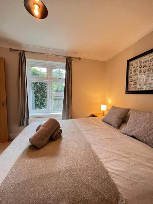 Space And Comfort In Summertown Oxford Exterior foto